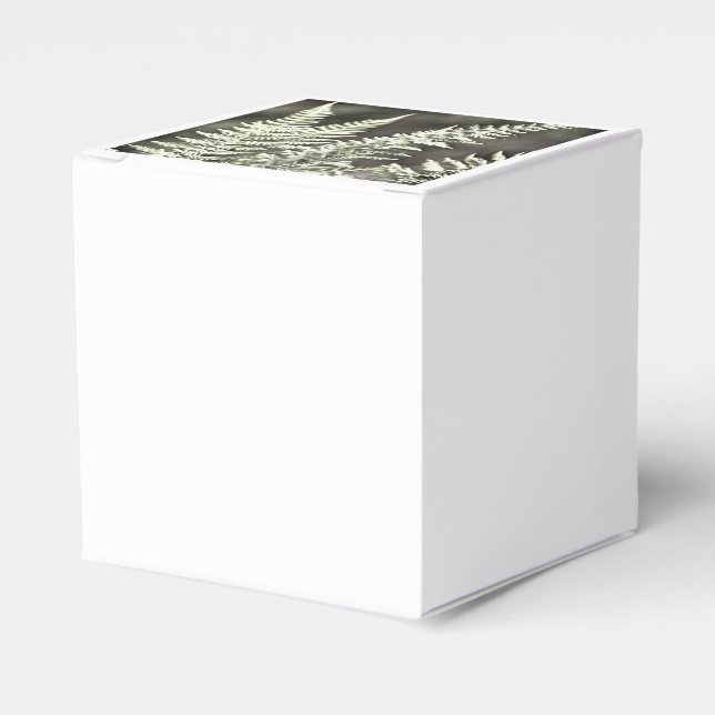 Fern Artistic Abstract Favour Box (Front Side)
