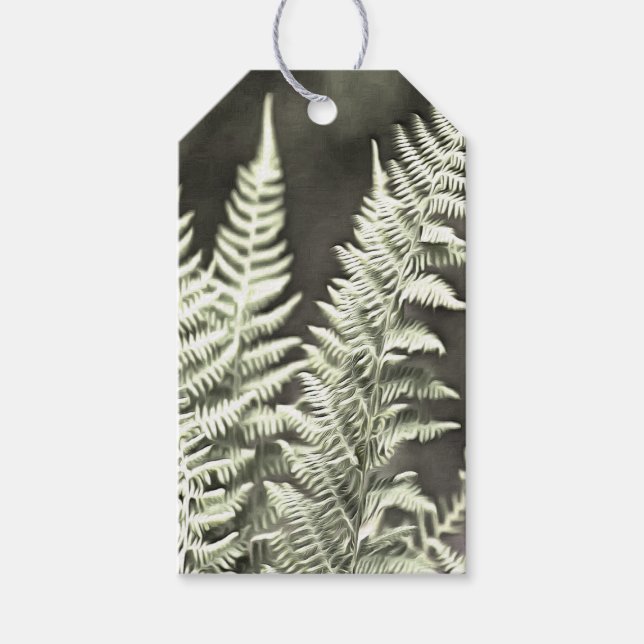 Fern Artistic Abstract Gift Tags (Front)