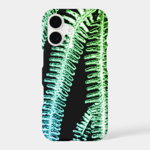 Fern black and white