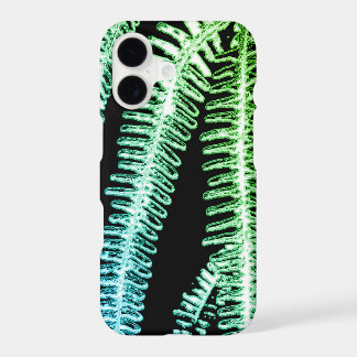 Fern black and white