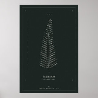 Fern Botanical Line Drawing Poster, Dark Academia Poster