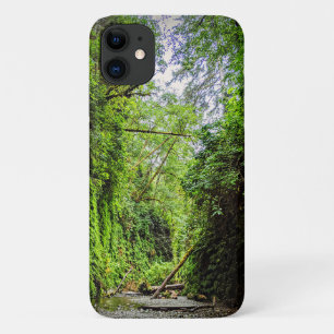 Fern Canyon Green Walls in Redwoods National Park Case-Mate iPhone Case