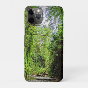 Fern Canyon Green Walls in Redwoods National Park Case-Mate iPhone Case