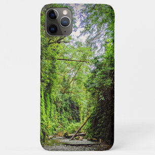 Fern Canyon Green Walls in Redwoods National Park Case-Mate iPhone Case