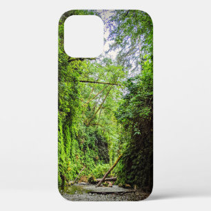 Fern Canyon Green Walls in Redwoods National Park iPhone 12 Case
