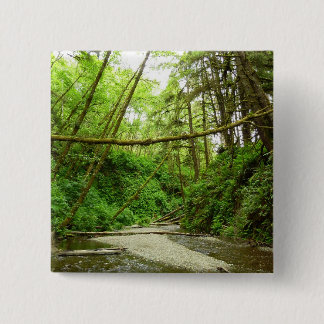 Fern Canyon I at Redwood National Park 15 Cm Square Badge