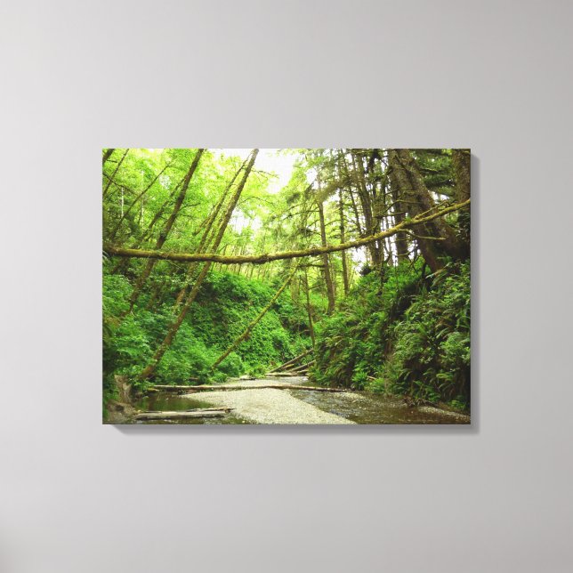 Fern Canyon I at Redwood National Park Canvas Print (Front)