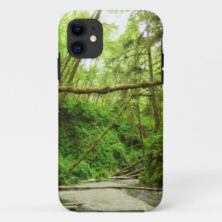 Fern Canyon I at Redwood National Park Case-Mate iPhone Case