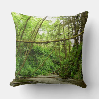 Fern Canyon I at Redwood National Park Cushion