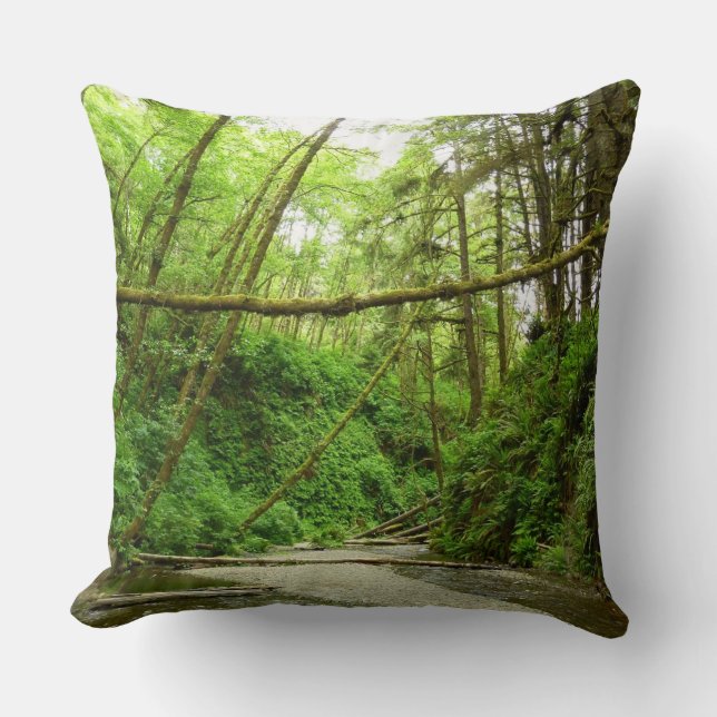 Fern Canyon I at Redwood National Park Cushion (Front)