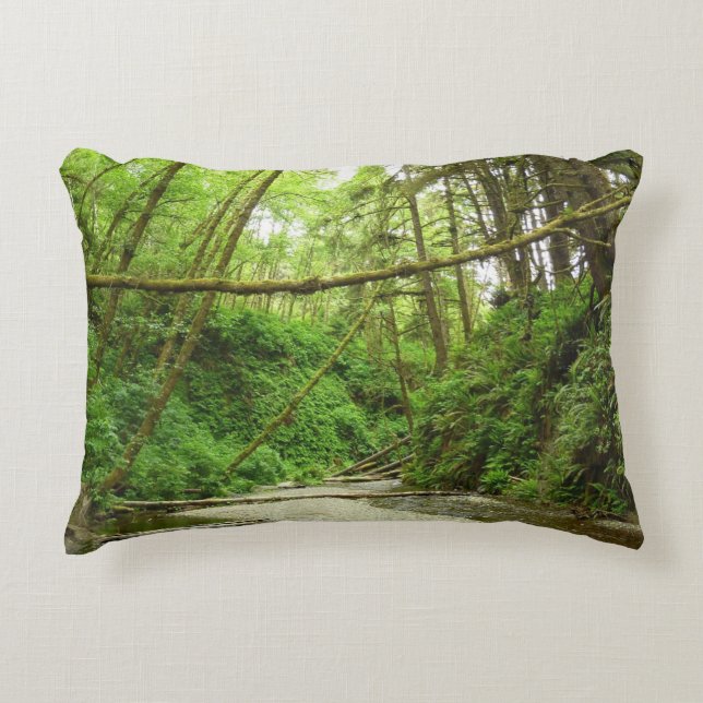 Fern Canyon I at Redwood National Park Decorative Cushion (Front)