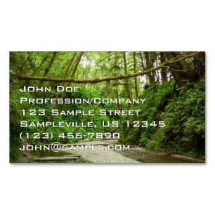 Fern Canyon I at Redwood National Park Magnetic Business Card