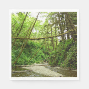 Fern Canyon I at Redwood National Park Napkin