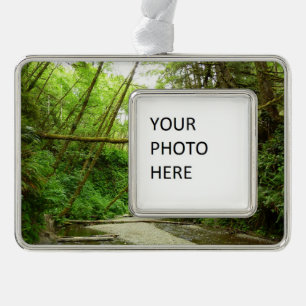 Fern Canyon I at Redwood National Park Silver Plated Framed Ornament