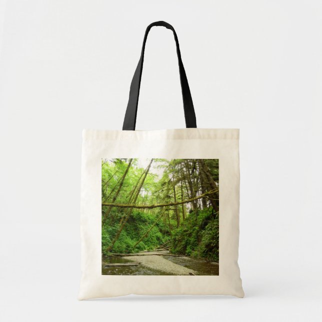Fern Canyon I at Redwood National Park Tote Bag (Front)