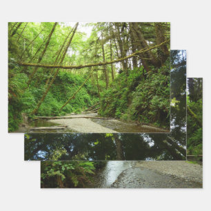 Fern Canyon I Wrapping Paper Sheet