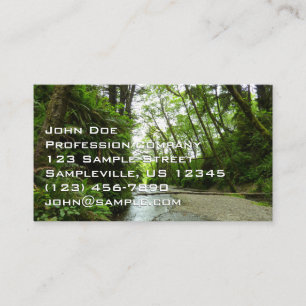 Fern Canyon II at Redwood National Park Business Card