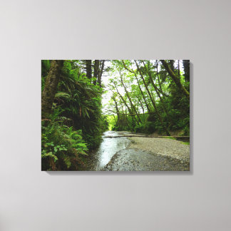 Fern Canyon II at Redwood National Park Canvas Print