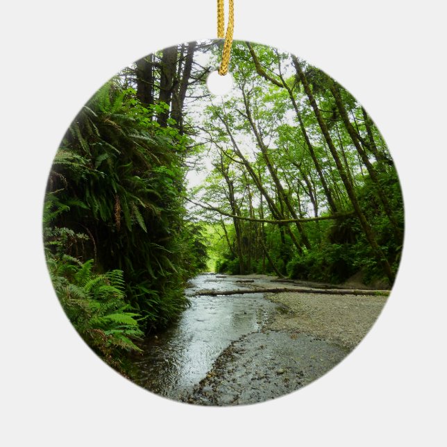 Fern Canyon II at Redwood National Park Ceramic Tree Decoration (Front)
