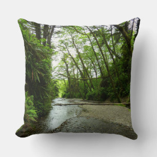 Fern Canyon II at Redwood National Park Cushion
