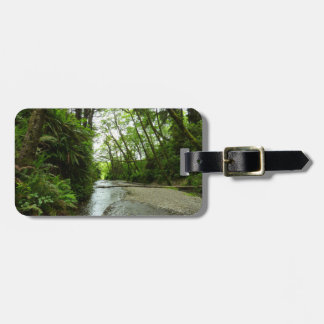 Fern Canyon II at Redwood National Park Luggage Tag