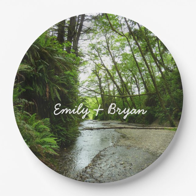 Fern Canyon II at Redwood National Park Paper Plate (Front)