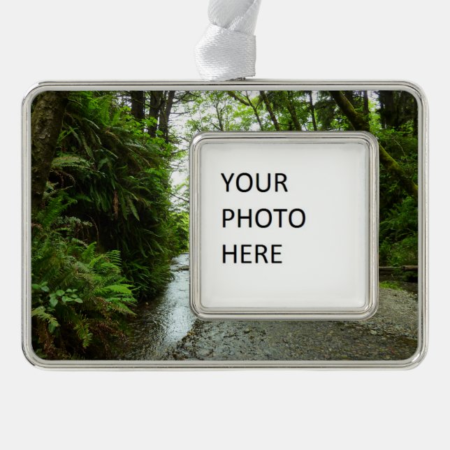 Fern Canyon II at Redwood National Park Silver Plated Framed Ornament (Front)
