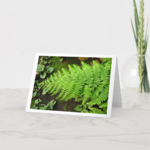 Fern Card