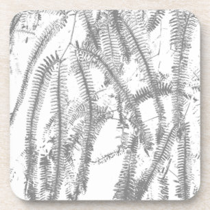 Fern Coaster