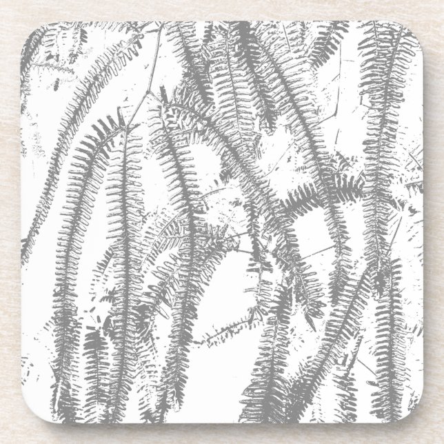 Fern Coaster (Front)