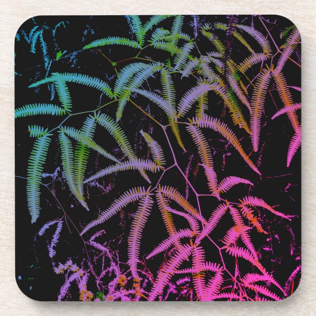 Fern Coaster (Front)