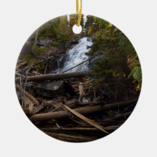 Fern Falls at Rocky Mountain National Park Ceramic Tree Decoration