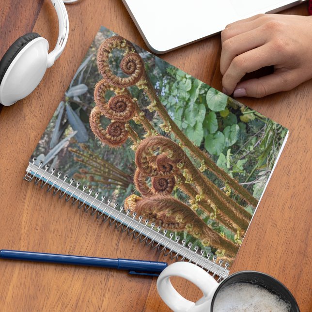 Fern Fiddleheads Botanical Notebook (In Situ)