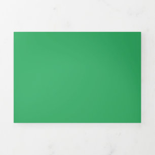 Fern,Frog Green,Gulf Stream, Tri-Fold Card