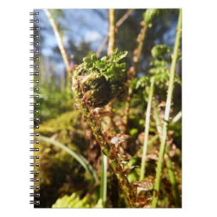 Fern Frond Notebook