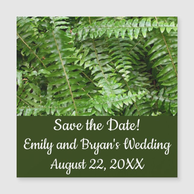 Fern Fronds I Green Nature (Front)