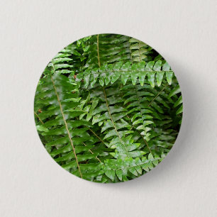 Fern Fronds I Green Nature 6 Cm Round Badge
