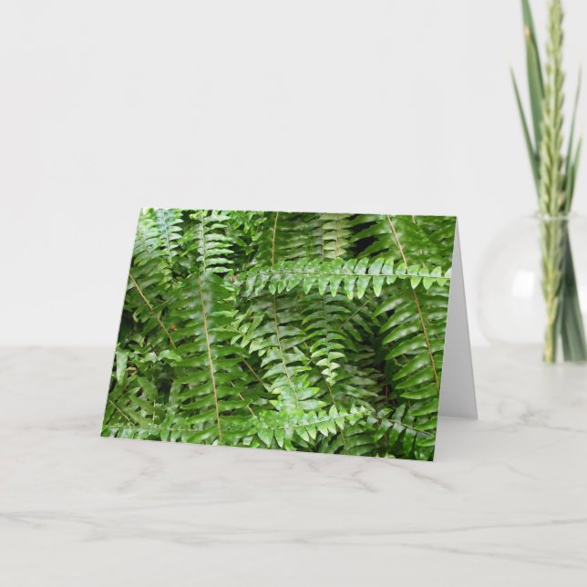 Fern Fronds I Green Nature Card (Front)