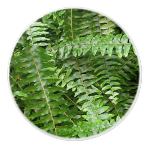 Fern Fronds I Green Nature Ceramic Knob