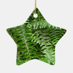 Fern Fronds I Green Nature Ceramic Tree Decoration