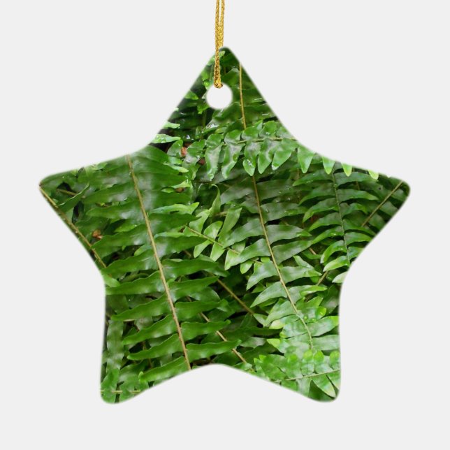 Fern Fronds I Green Nature Ceramic Tree Decoration (Front)