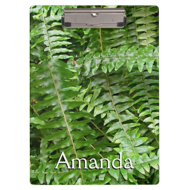 Fern Fronds I Green Nature Clipboard (Front)