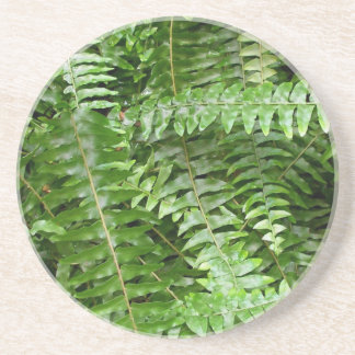 Fern Fronds I Green Nature Coaster