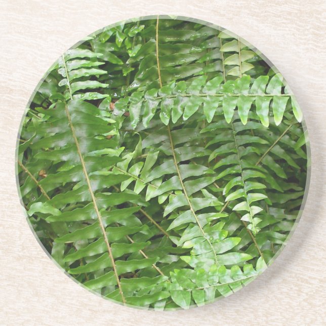 Fern Fronds I Green Nature Coaster (Front)