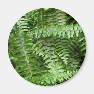 Fern Fronds I Green Nature Magnet