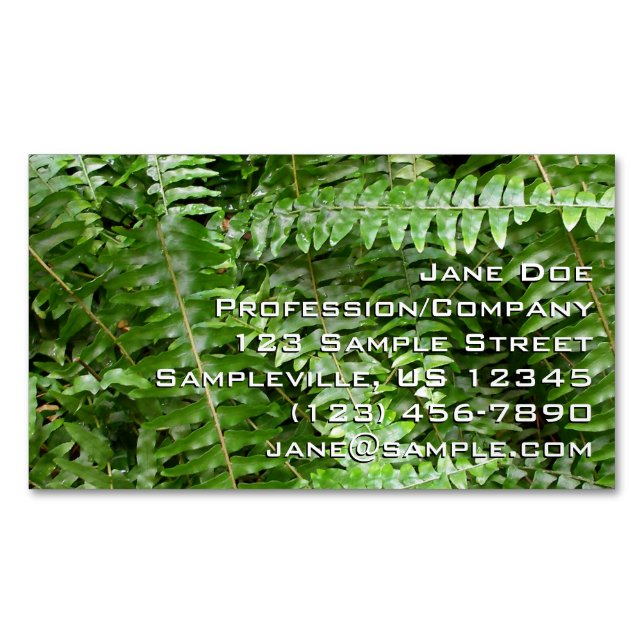 Fern Fronds I Green Nature Magnetic Business Card (Front)