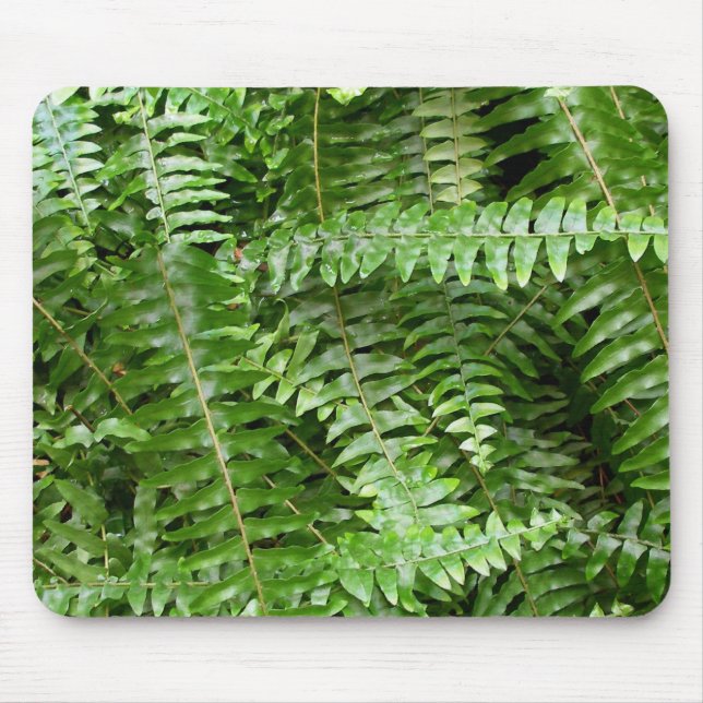 Fern Fronds I Green Nature Mouse Pad (Front)