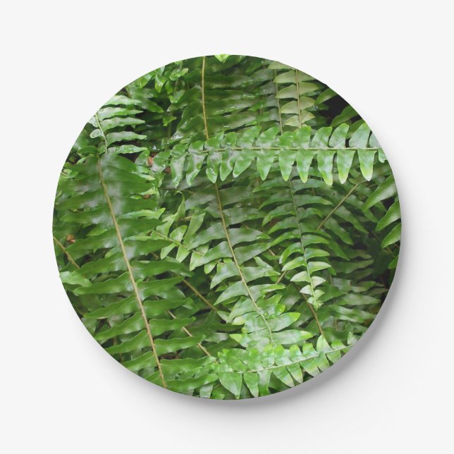 Fern Fronds I Green Nature Paper Plate (Front)
