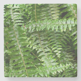 Fern Fronds I Green Nature Stone Coaster