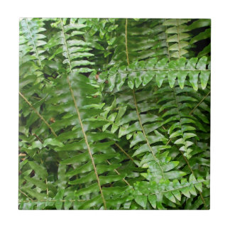 Fern Fronds I Green Nature Tile